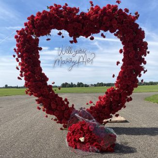 proposal_tour2